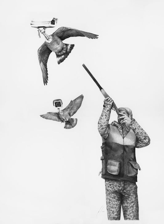 Bird Brother Is Watching